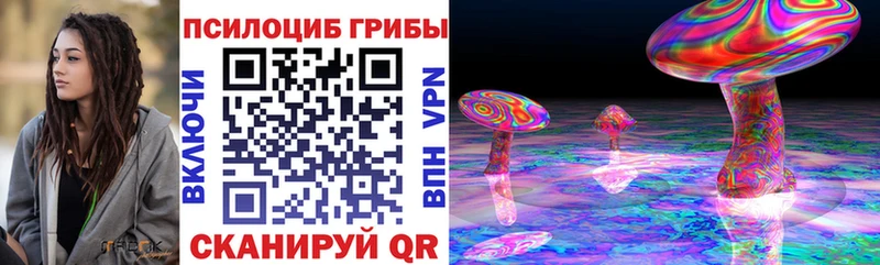 Галлюциногенные грибы Psilocybine cubensis  blacksprut вход  Цимлянск 